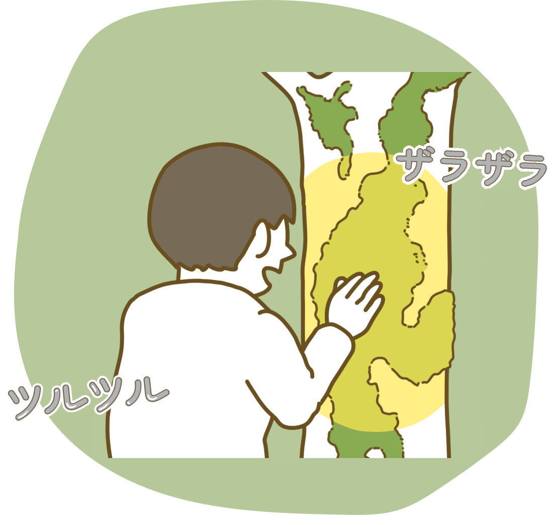 ザラザラ　ツルツル