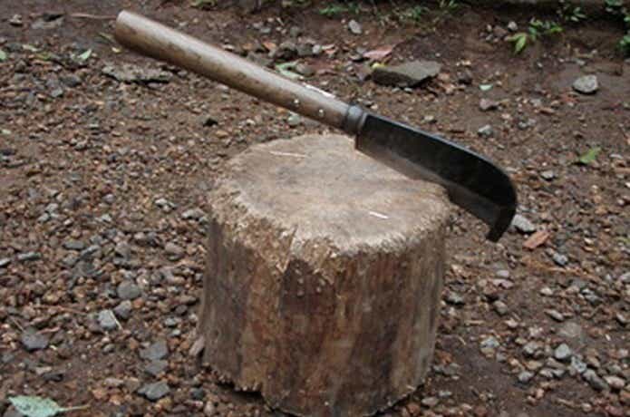 鉈で木を切る