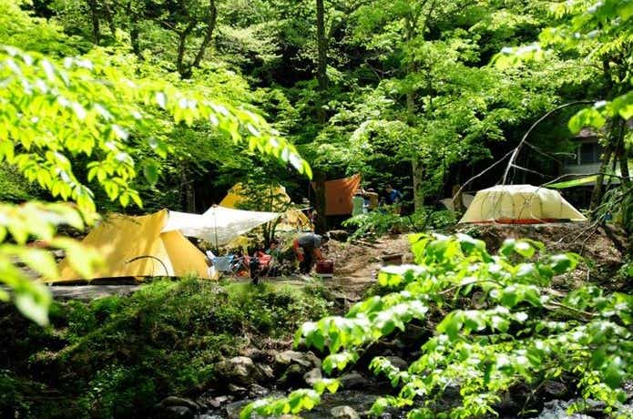 新緑美しい5月のキャンプを楽しもう！